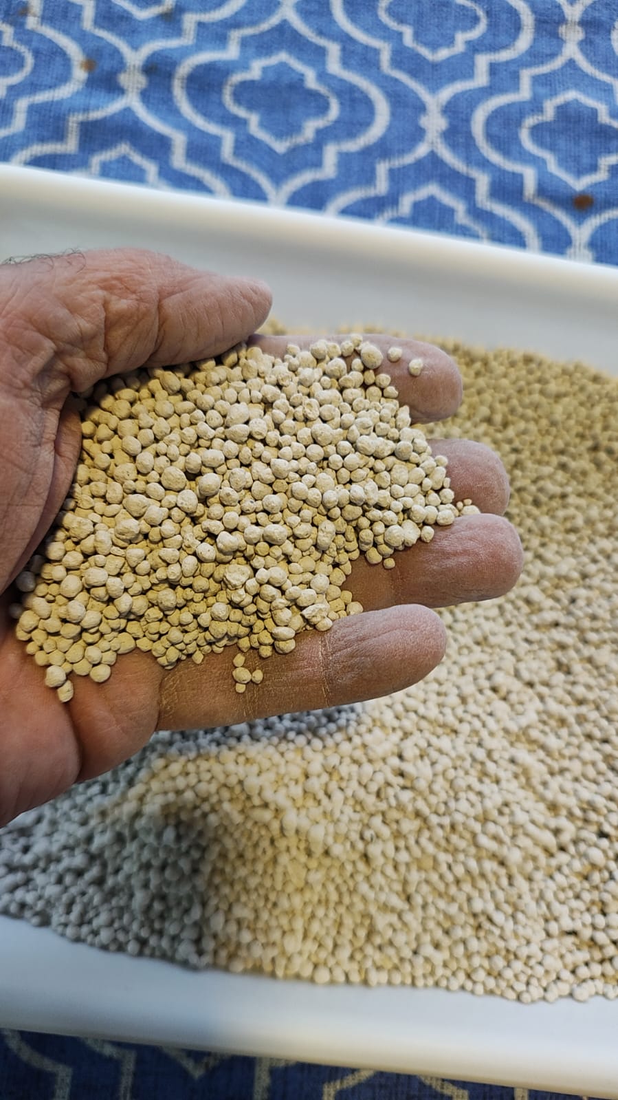 potencial Hidrogeniônico